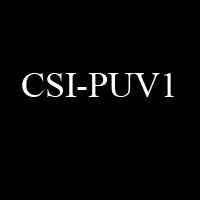 CSI-PUV1